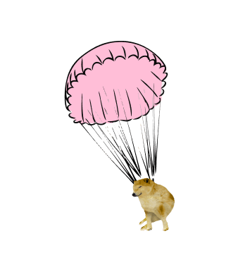 Doge Parachute